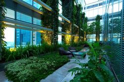 Ocean Financial Centre (D1), Office #464410411